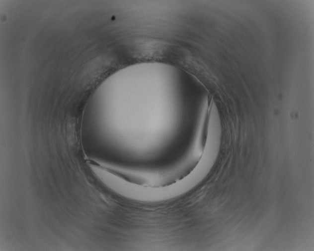 X0000073460416200608251737