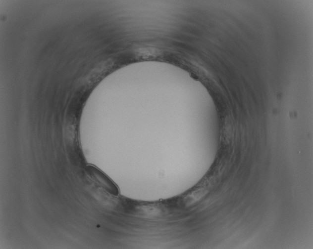 X0000073460417200608251736