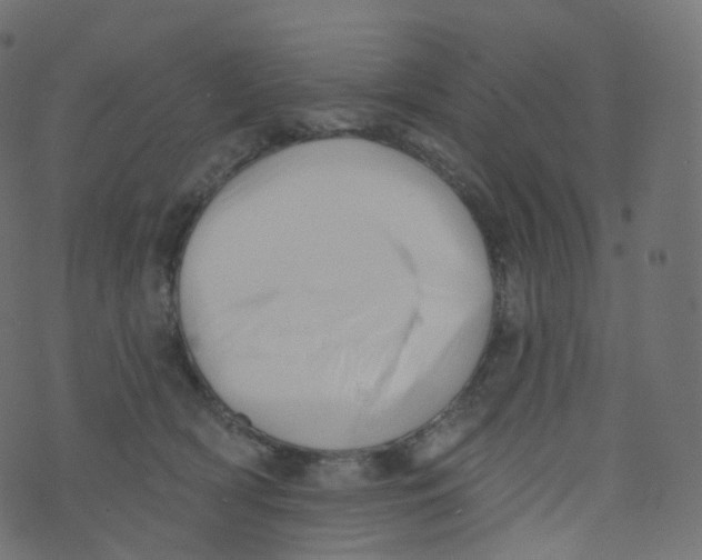 X0000073460418200608251736