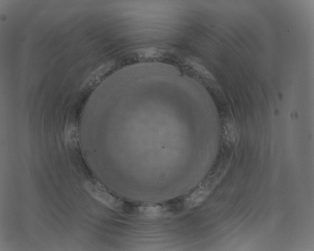 X0000073460419200608251736