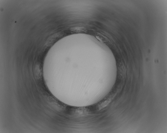 X0000073460420200608251736