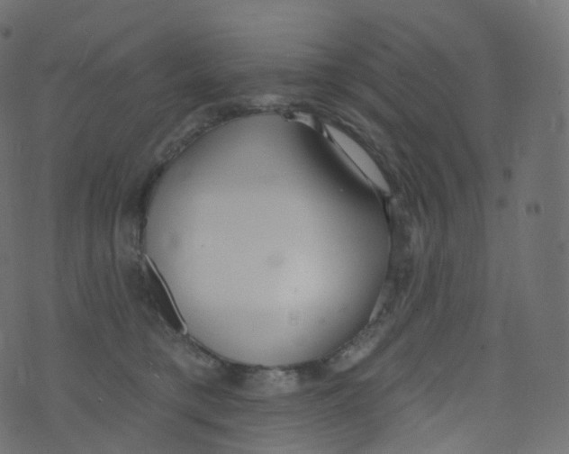 X0000073460421200608251736