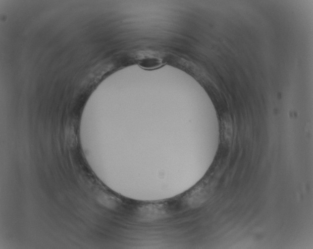 X0000073460422200608251736