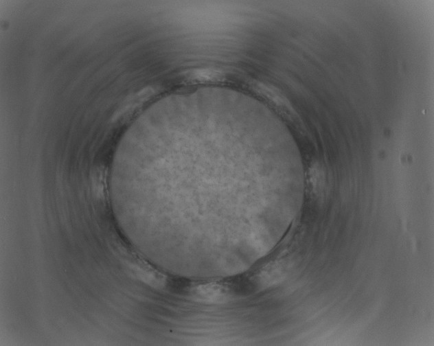 X0000073460423200608251736