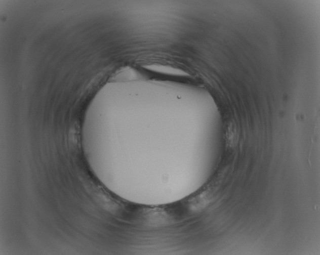 X0000073460424200608251736