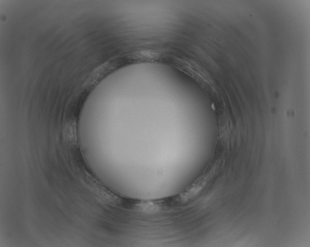 X0000073460425200608251736