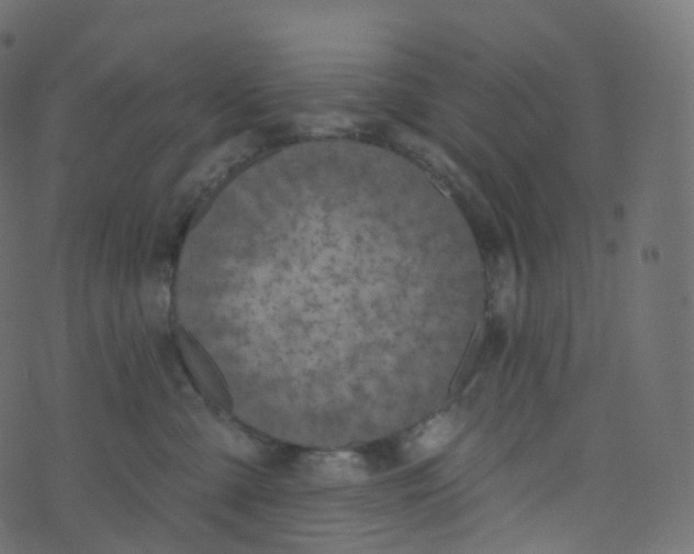 X0000073460427200608251736