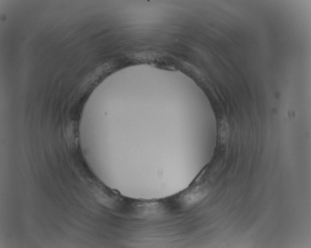 X0000073460428200608251736