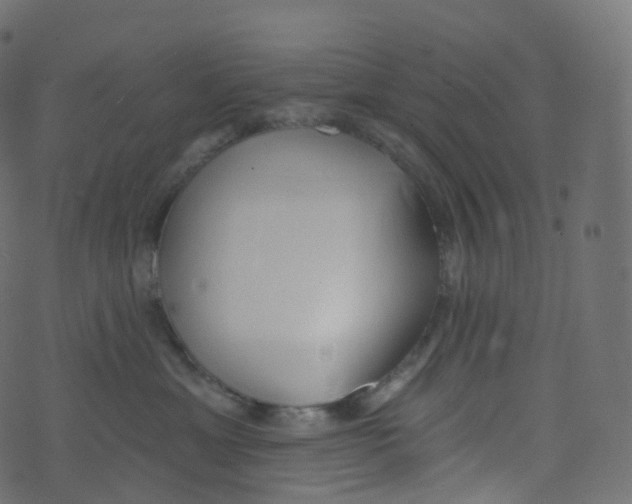 X0000073460429200608251736