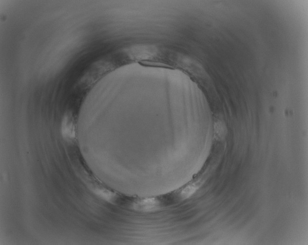 X0000073460431200608251736