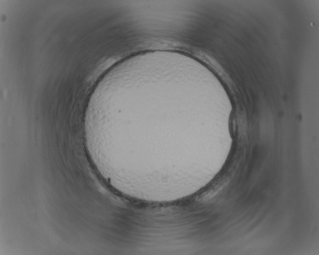 X0000073460433200608251735