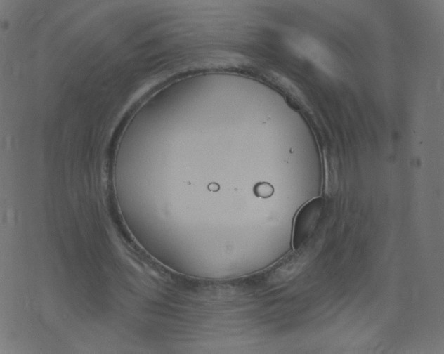 X0000073460435200608251735