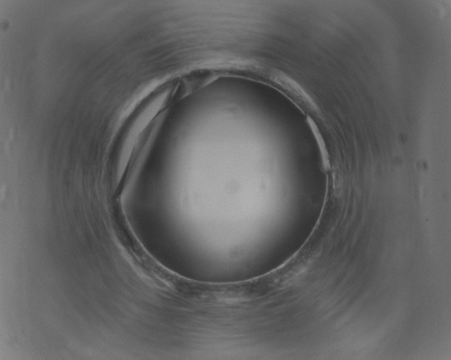 X0000073460436200608251735