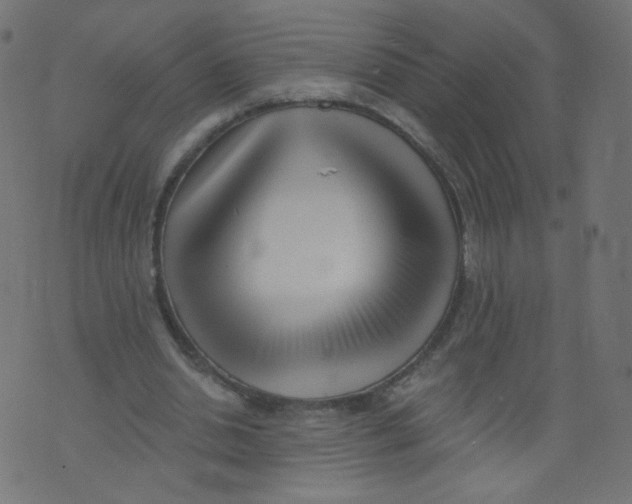 X0000073460438200608251736