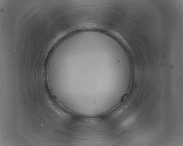 X0000073460439200608251736