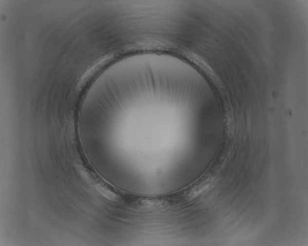 X0000073460442200608251736