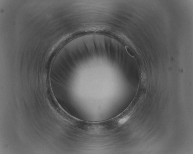 X0000073460444200608251736