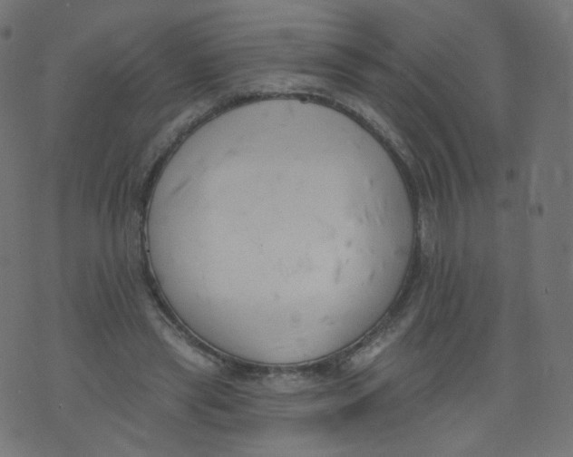 X0000073460445200608251736