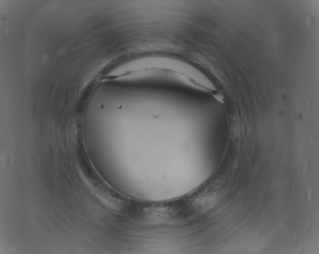 X0000073460448200608251736