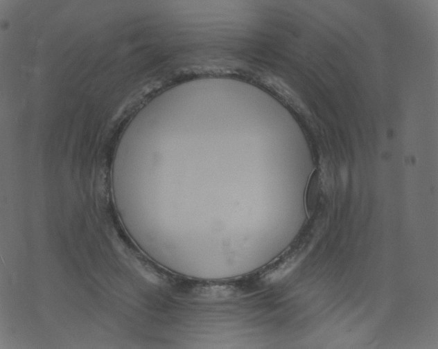 X0000073460449200608251736