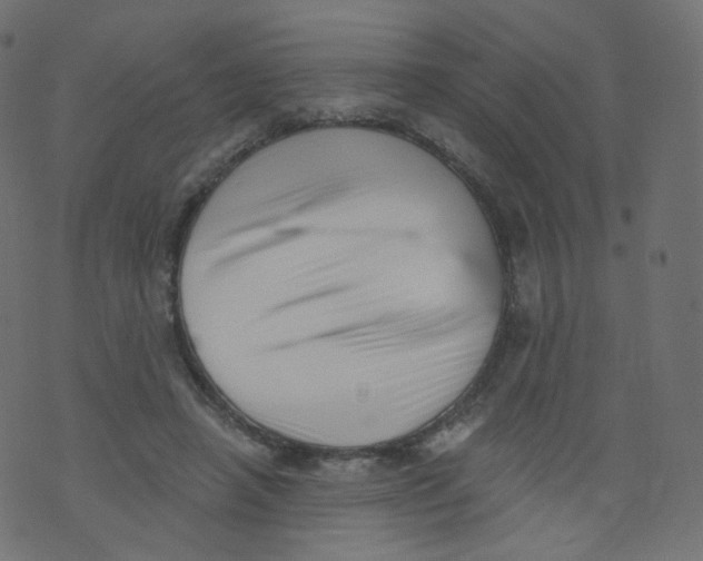 X0000073460450200608251736