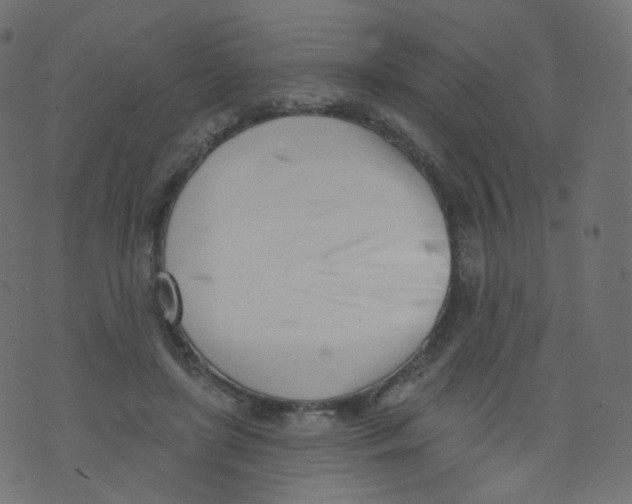 X0000073460451200608251736