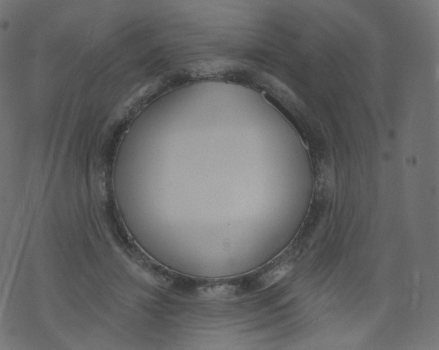 X0000073460452200608251736