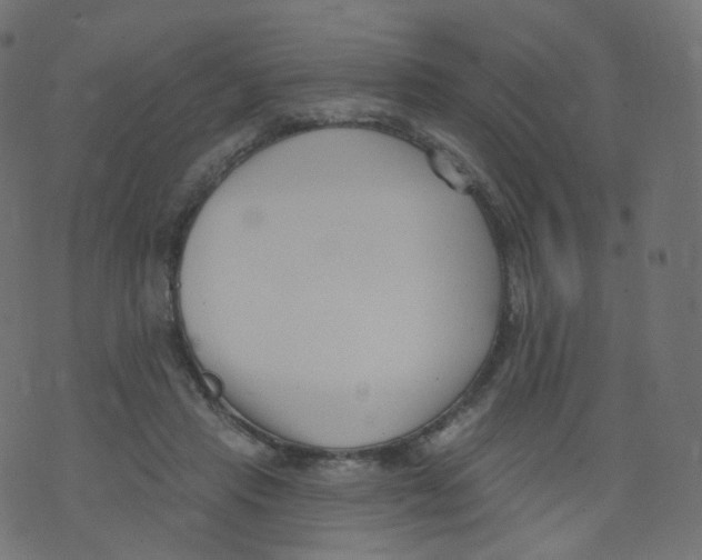 X0000073460453200608251736