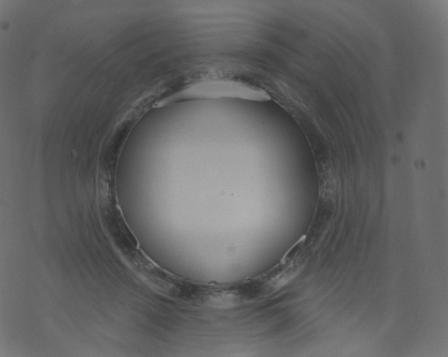 X0000073460456200608251736