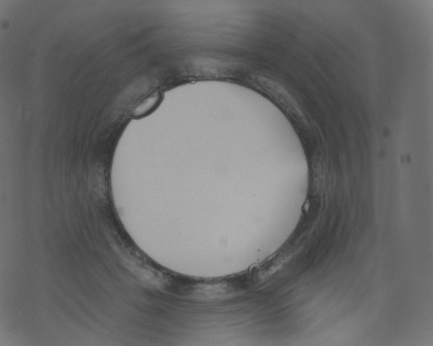 X0000073460457200608251736