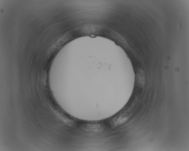 X0000073460458200608251736