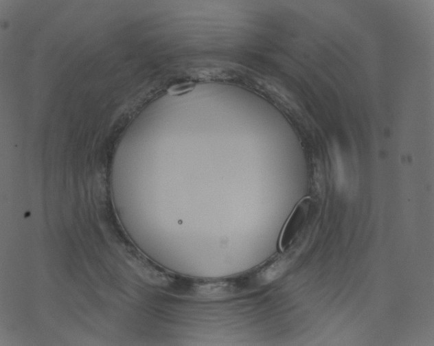 X0000073460461200608251736