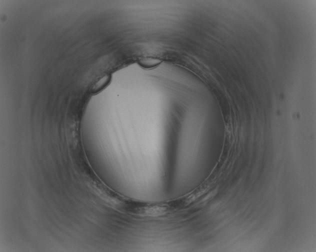 X0000073460462200608251736