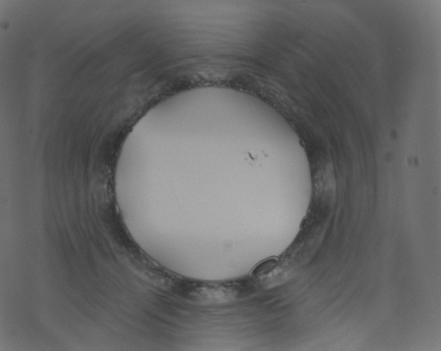 X0000073460464200608251736