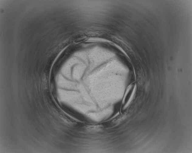 X0000073460465200608251736