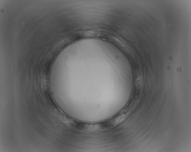 X0000073460469200608251736