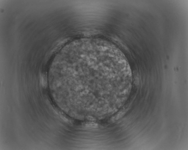 X0000073460471200608251736