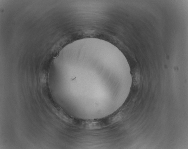 X0000073460472200608251736