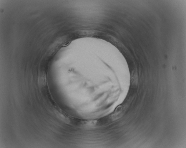 X0000073460474200608251736