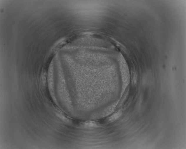 X0000073460475200608251736