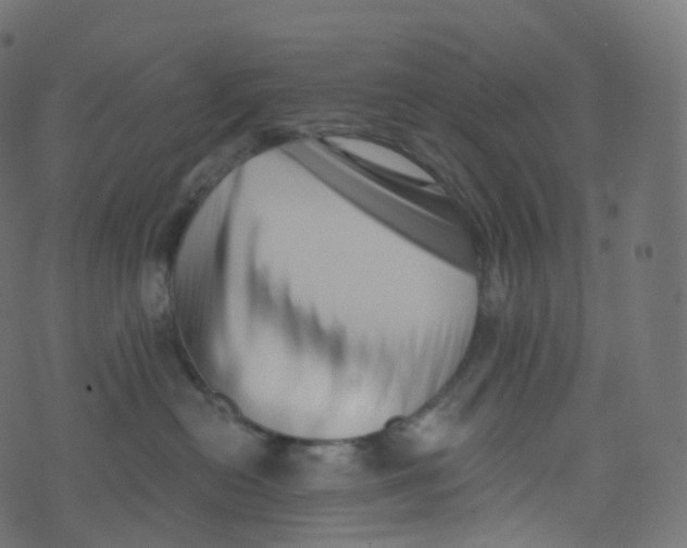 X0000073460478200608251736