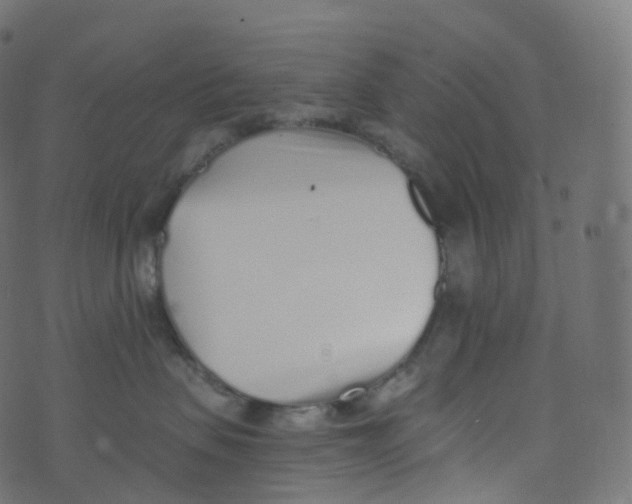 X0000073460479200608251736