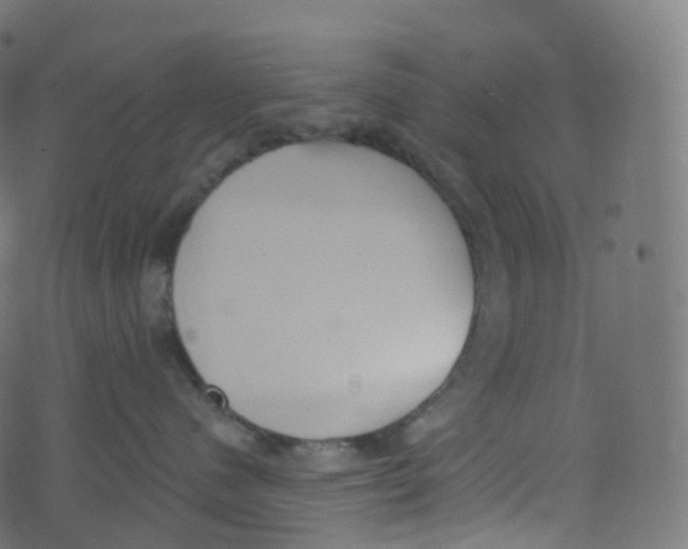 X0000073460480200608251736