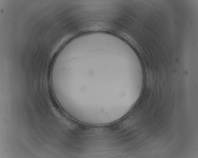 X0000073460482200608251735