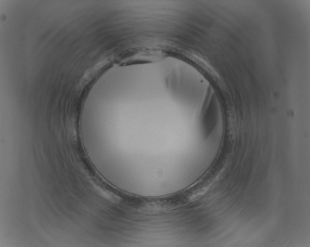 X0000073460489200608251735