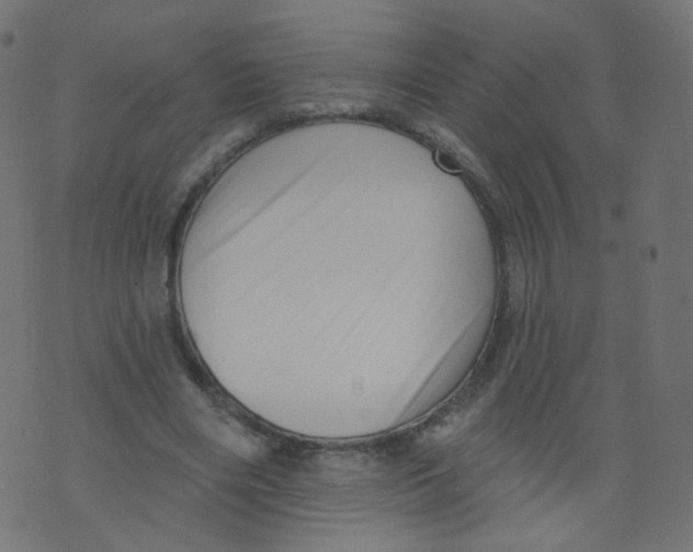 X0000073460490200608251735