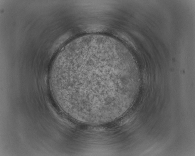 X0000073460491200608251735