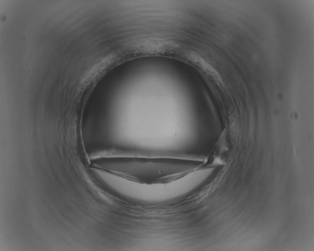 X0000073460493200608251735