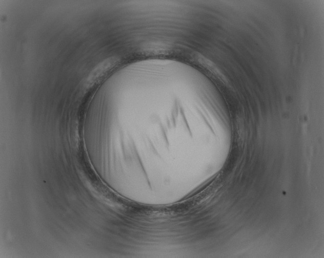 X0000073460494200608251735