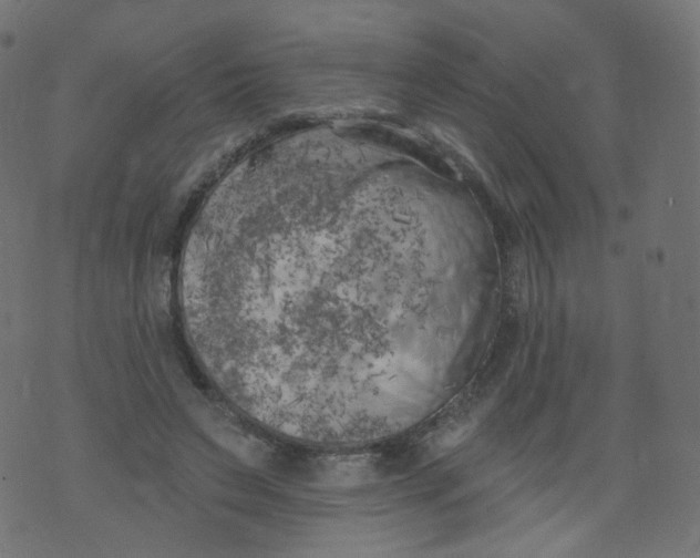 X0000073460495200608251735